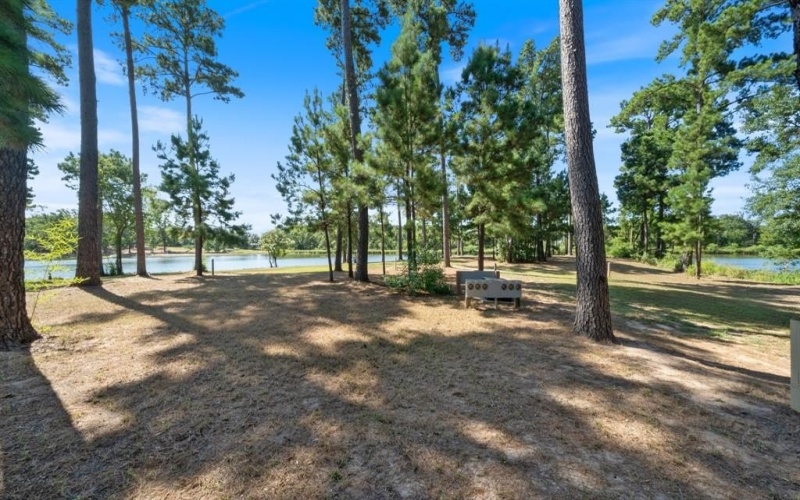 4776 FM 17, Grand Saline, TX 75140, ,Commercial Sale,For Sale,4776 FM 17,20736322