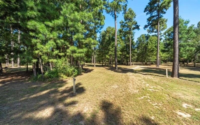 4776 FM 17, Grand Saline, TX 75140, ,Commercial Sale,For Sale,4776 FM 17,20736322