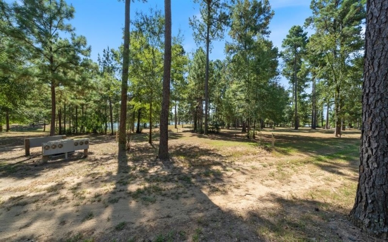 4776 FM 17, Grand Saline, TX 75140, ,Commercial Sale,For Sale,4776 FM 17,20736322
