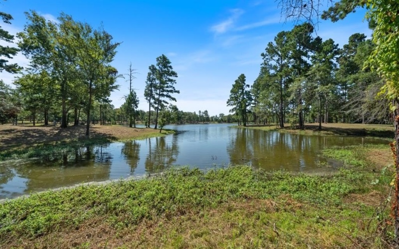 4776 FM 17, Grand Saline, TX 75140, ,Commercial Sale,For Sale,4776 FM 17,20736322