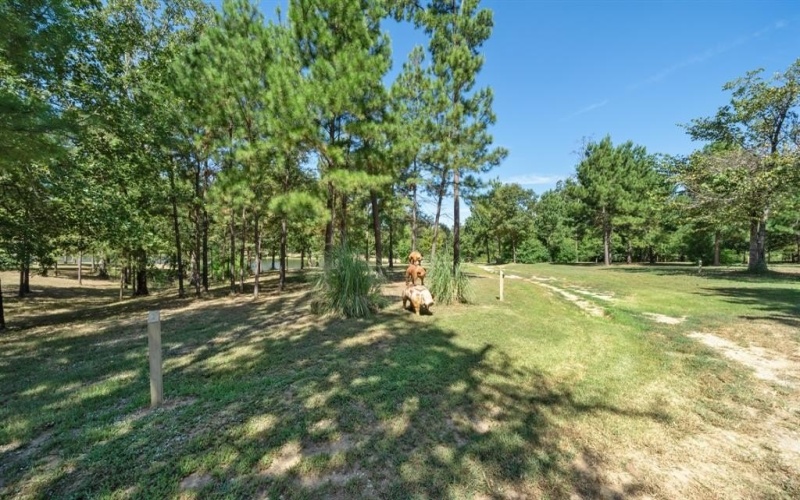 4776 FM 17, Grand Saline, TX 75140, ,Commercial Sale,For Sale,4776 FM 17,20736322