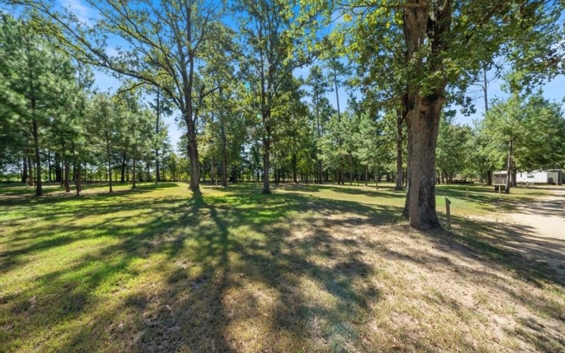 4776 FM 17, Grand Saline, TX 75140, ,Commercial Sale,For Sale,4776 FM 17,20736322