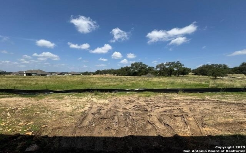 1163 Blackburnian, New Braunfels, TX 78132, 4 Bedrooms Bedrooms, ,3 BathroomsBathrooms,Residential,For Sale,1163 Blackburnian,1869422
