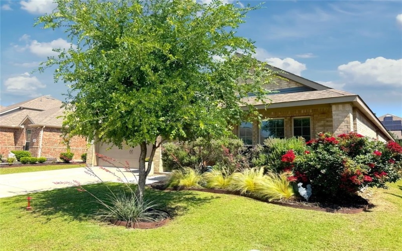11013 Cobalt Drive, Aubrey, TX 76227, 3 Bedrooms Bedrooms, ,2 BathroomsBathrooms,Residential,For Sale,11013 Cobalt Drive,20944808