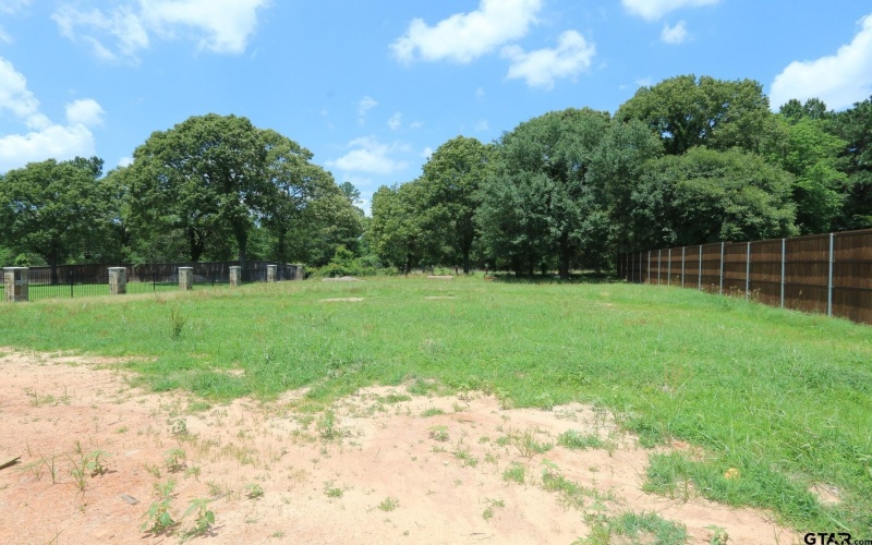 16525 Hailey Court, Tyler, TX 75703, 4 Bedrooms Bedrooms, ,3 BathroomsBathrooms,Residential,For Sale,16525 Hailey Court,25007893