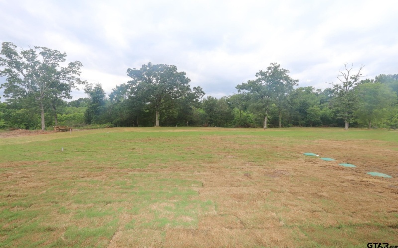16511 Cooper Way, Tyler, TX 75703, 4 Bedrooms Bedrooms, ,3 BathroomsBathrooms,Residential,For Sale,16511 Cooper Way,25007900