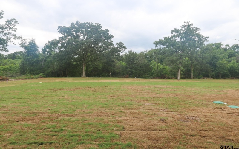 16511 Cooper Way, Tyler, TX 75703, 4 Bedrooms Bedrooms, ,3 BathroomsBathrooms,Residential,For Sale,16511 Cooper Way,25007900