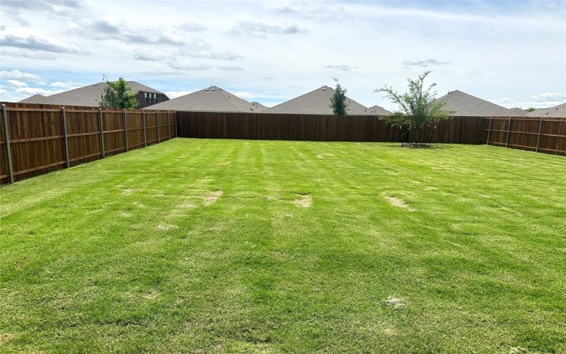 1328 Rockwell Drive, Little Elm, TX 75068, 3 Bedrooms Bedrooms, ,2 BathroomsBathrooms,Residential Lease,For Rent,1328 Rockwell Drive,20948025