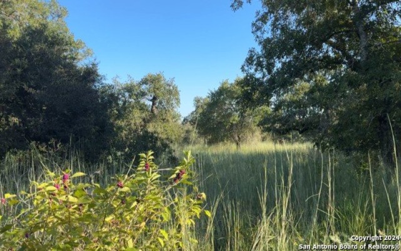 908 Swallows Ln, Seguin, TX 78155, 3 Bedrooms Bedrooms, ,2 BathroomsBathrooms,Residential,For Sale,908 Swallows Ln,1814426
