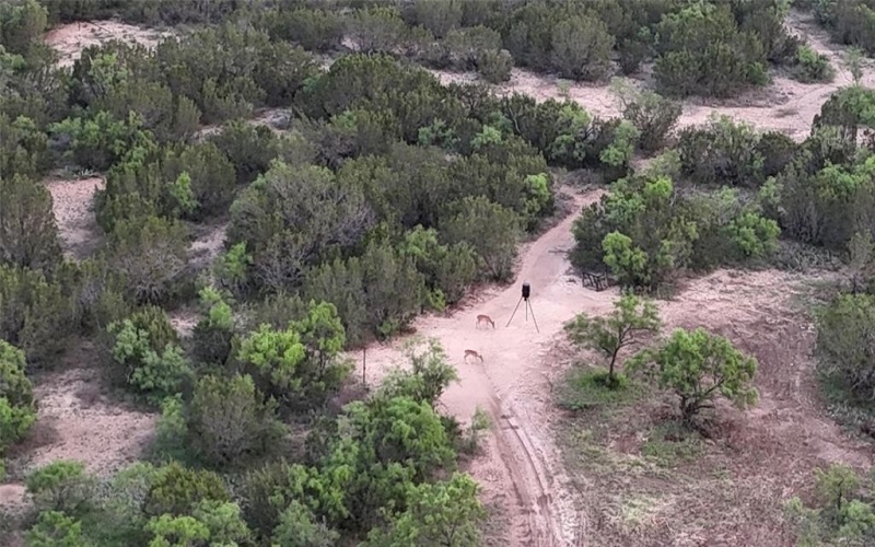 18099 FM 2134, Millersview, TX 76862, ,Land,For Sale,18099 FM 2134,20951009