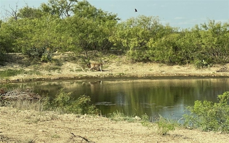 18099 FM 2134, Millersview, TX 76862, ,Land,For Sale,18099 FM 2134,20951009