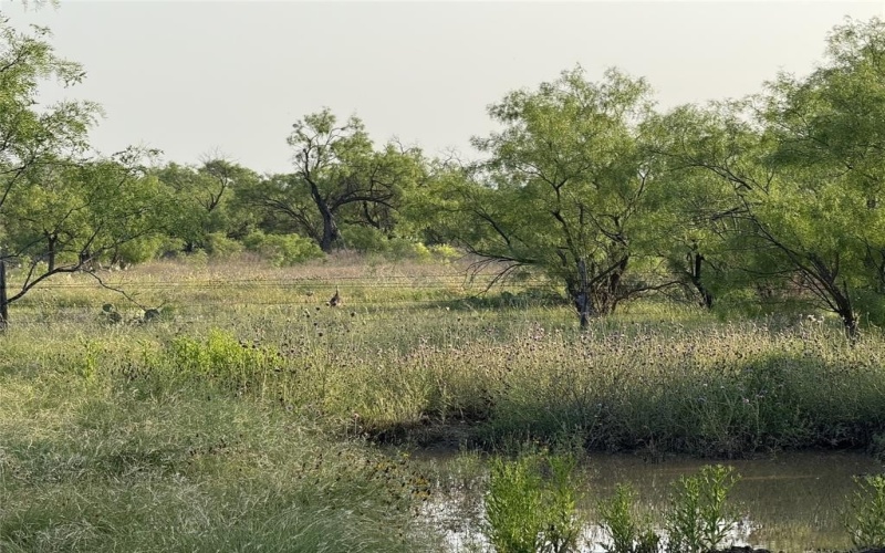 18099 FM 2134, Millersview, TX 76862, ,Land,For Sale,18099 FM 2134,20951009