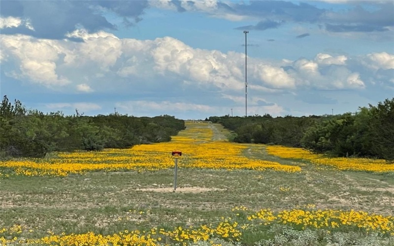 18099 FM 2134, Millersview, TX 76862, ,Land,For Sale,18099 FM 2134,20951009