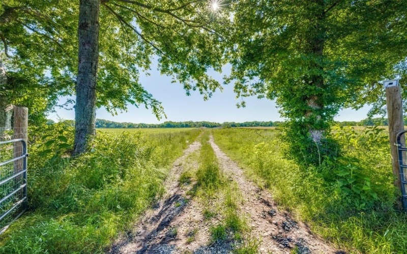 12075 State Highway 11, Whitewright, TX 75491, ,Tierra,En Venta,12075 State Highway 11,20943645