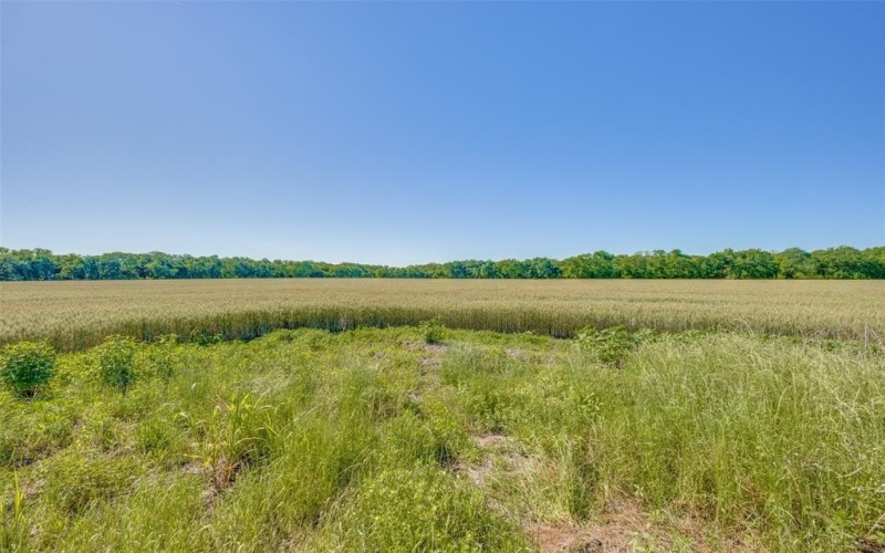 12075 State Highway 11, Whitewright, TX 75491, ,Tierra,En Venta,12075 State Highway 11,20943645