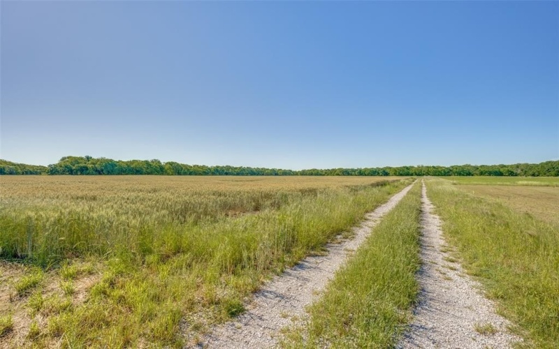 12075 State Highway 11, Whitewright, TX 75491, ,Tierra,En Venta,12075 State Highway 11,20943645