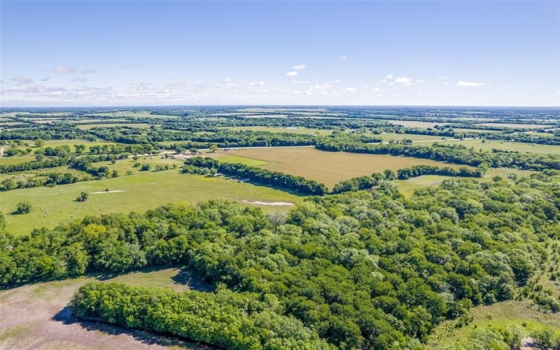 12075 State Highway 11, Whitewright, TX 75491, ,Tierra,En Venta,12075 State Highway 11,20943645