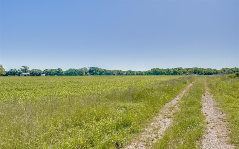 12075 State Highway 11, Whitewright, TX 75491, ,Tierra,En Venta,12075 State Highway 11,20943645