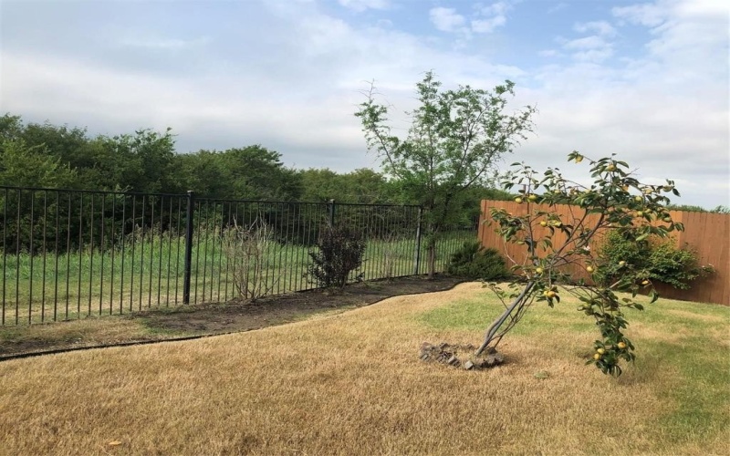 16324 TOLEDO BEND Court, Prosper, TX 75078, 4 Bedrooms Bedrooms, ,2 BathroomsBathrooms,Residential,For Sale,16324 TOLEDO BEND Court,20953924
