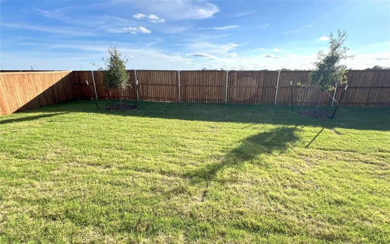 3205 Tokara Street, Providence Village, TX 76227, 4 Bedrooms Bedrooms, ,2 BathroomsBathrooms,Residential Lease,For Rent,3205 Tokara Street,20950918