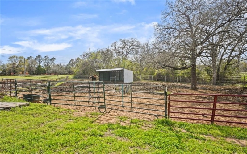 399 Woodland Drive, Copper Canyon, TX 75077, ,Commercial Sale,For Sale,399 Woodland Drive,20955895