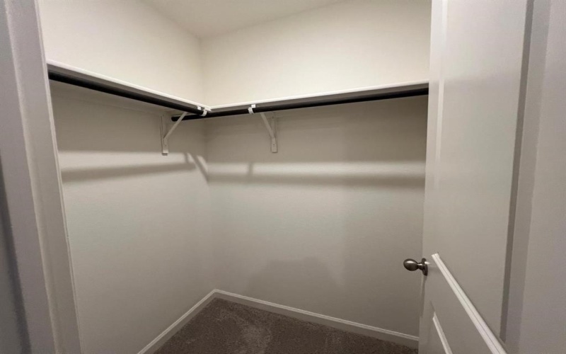 1324 Lake Apline Trail, Anna, TX 75409, 3 Habitaciones Habitaciones , ,2 BañosBaños,Residential Lease,En Alquiler,1324 Lake Apline Trail,20955914