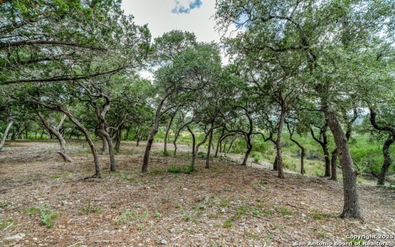 108 Palomino Springs, Bandera, TX 78003, 3 Bedrooms Bedrooms, ,2 BathroomsBathrooms,Residential,For Sale,108 Palomino Springs,1872653