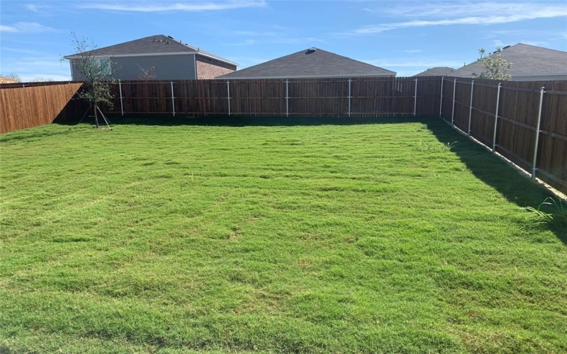 709 Cedar Elm Drive, Anna, TX 75409, 4 Bedrooms Bedrooms, ,2 BathroomsBathrooms,Residential Lease,For Rent,709 Cedar Elm Drive,20957434