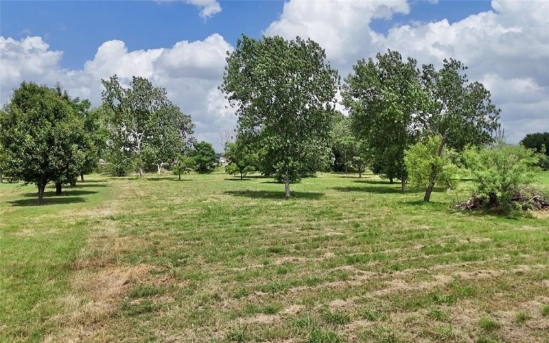 3529 Carla Court, Granbury, TX 76049, ,Residential,For Sale,3529 Carla Court,20957604