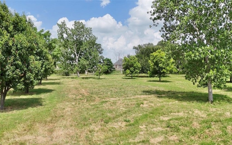 3529 Carla Court, Granbury, TX 76049, ,Residential,For Sale,3529 Carla Court,20957604