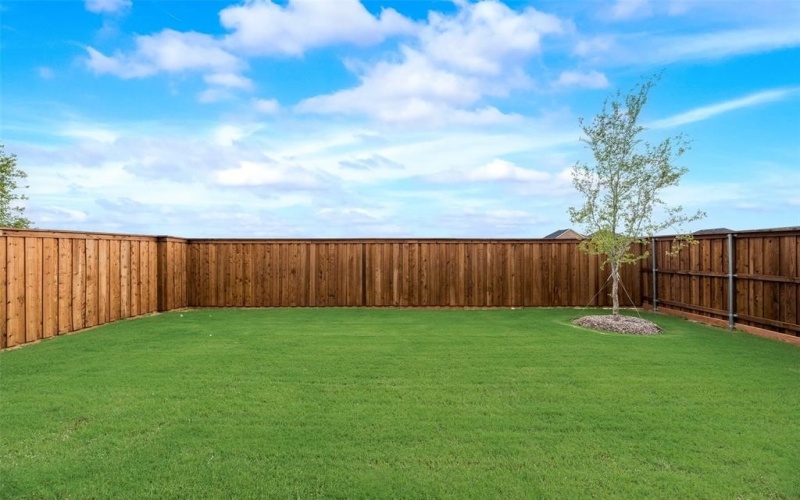 157 Adelina Drive, Little Elm, TX 75068, 4 Bedrooms Bedrooms, ,2 BathroomsBathrooms,Residential,For Sale,157 Adelina Drive,20960110