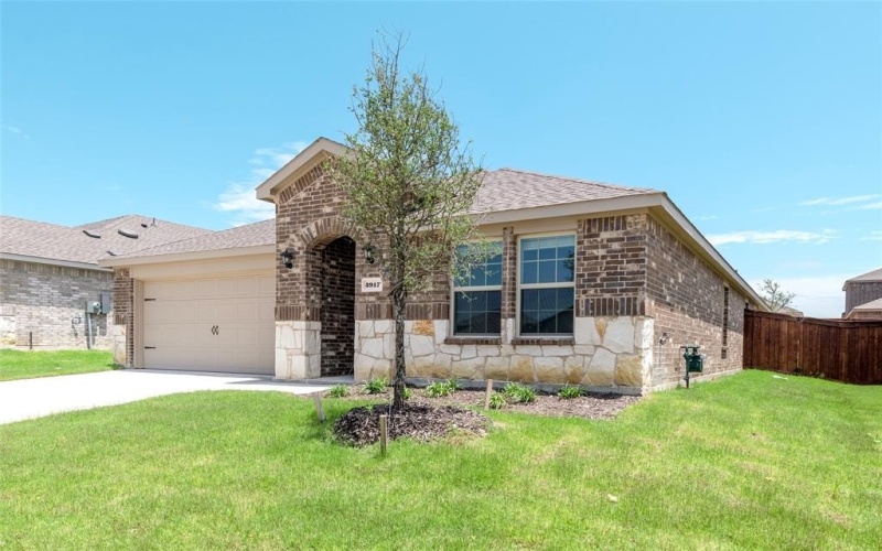 3917 Amethyst Drive, Celina, TX 75009, 4 Bedrooms Bedrooms, ,3 BathroomsBathrooms,Residential Lease,For Rent,3917 Amethyst Drive,20960514