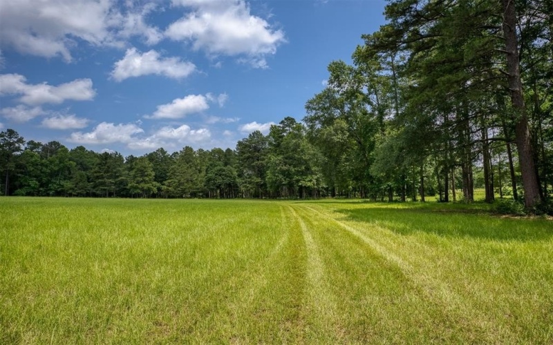 2219 ACR 1217, Grapeland, TX 75844, 3 Bedrooms Bedrooms, ,2 BathroomsBathrooms,Residential,For Sale,2219 ACR 1217,20961719