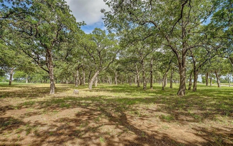 3019 Orchard Road, Bowie, TX 76230, 4 Habitaciones Habitaciones , ,3 BañosBaños,Residential,En Venta,3019 Orchard Road,20963936