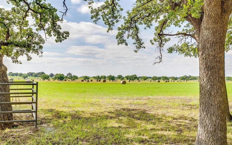 3019 Orchard Road, Bowie, TX 76230, 4 Habitaciones Habitaciones , ,3 BañosBaños,Residential,En Venta,3019 Orchard Road,20963936