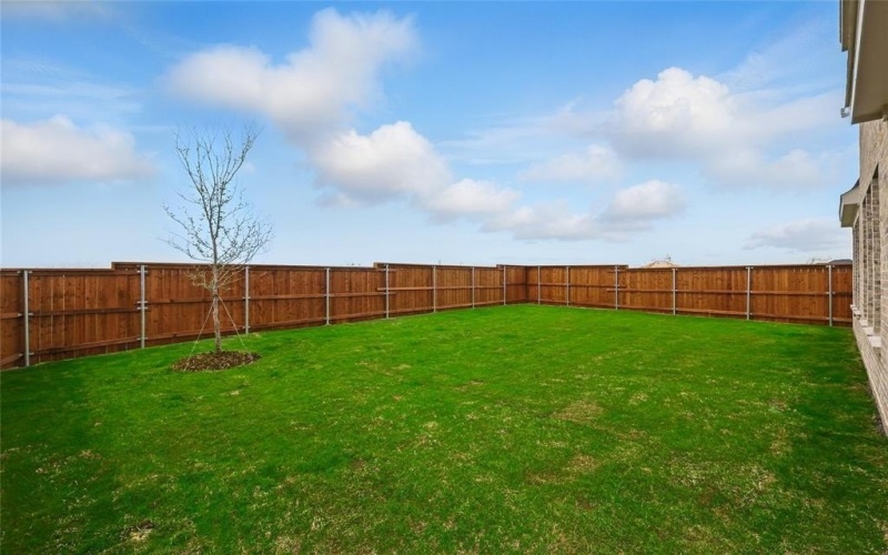 16509 Freshwater Drive, Celina, TX 75009, 5 Bedrooms Bedrooms, ,3 BathroomsBathrooms,Residential,For Sale,16509 Freshwater Drive,20748403
