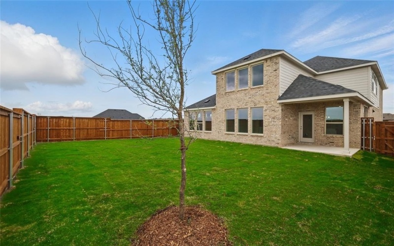 16509 Freshwater Drive, Celina, TX 75009, 5 Bedrooms Bedrooms, ,3 BathroomsBathrooms,Residential,For Sale,16509 Freshwater Drive,20748403