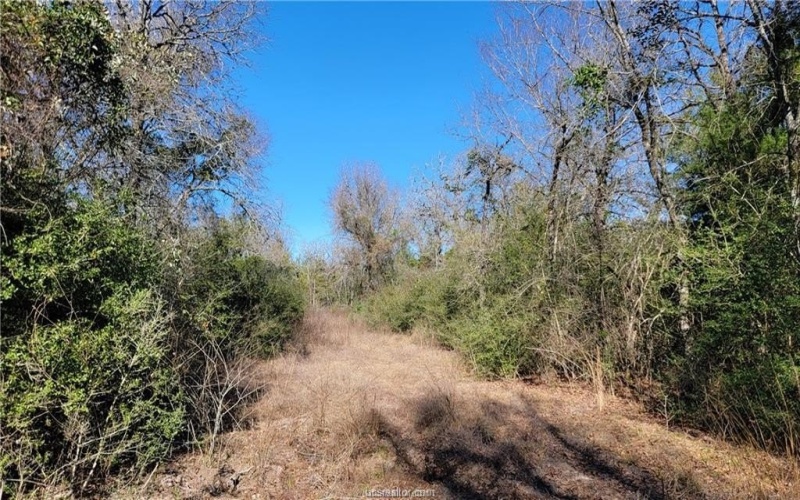 Lot 8 High Meadow Trail, Franklin, TX 77856, 4 Bedrooms Bedrooms, ,3 BathroomsBathrooms,Residential,For Sale,Lot 8 High Meadow Trail,25002412