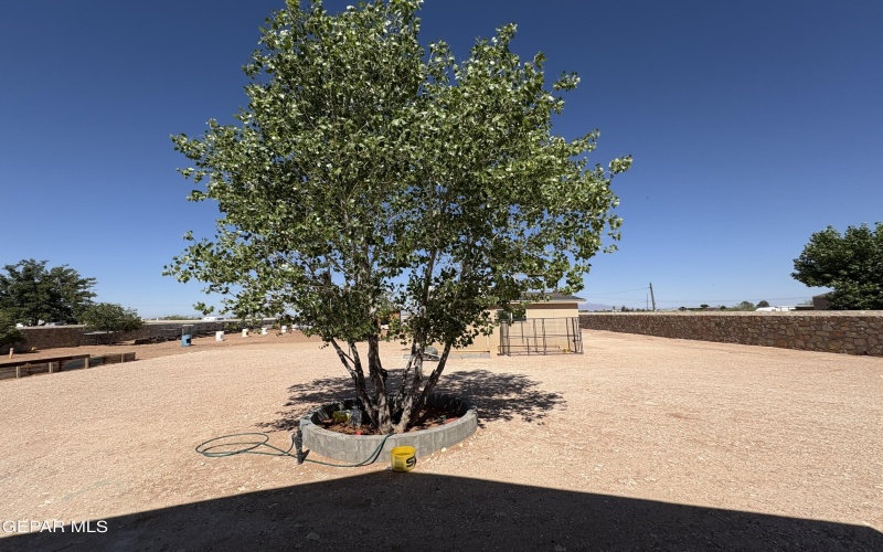4821 KREUGER Street, El Paso, TX 79938, ,Residential,En Venta,4821 KREUGER Street,924365