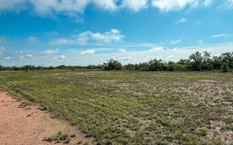 1432 FM 1929, Voss, TX 76888, ,Other,For Sale,1432 FM 1929,127838