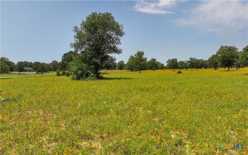56 Powder Ridge, Luling, TX 78648, 3 Bedrooms Bedrooms, ,2 BathroomsBathrooms,Residential,For Sale,56 Powder Ridge,583253