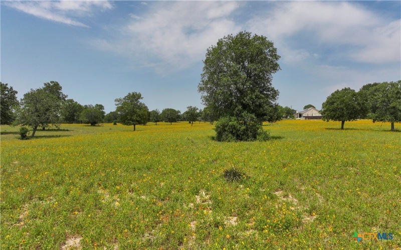 56 Powder Ridge, Luling, TX 78648, 3 Bedrooms Bedrooms, ,2 BathroomsBathrooms,Residential,For Sale,56 Powder Ridge,583253