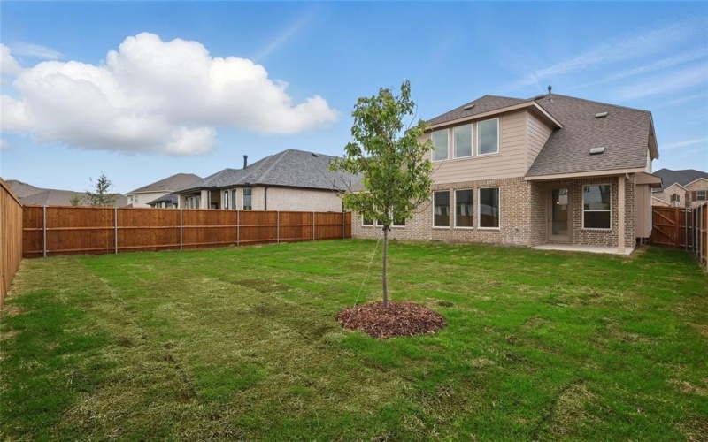 713 Purple Dome Drive, Justin, TX 76247, 4 Habitaciones Habitaciones , ,3 BañosBaños,Residential,En Venta,713 Purple Dome Drive,20796292