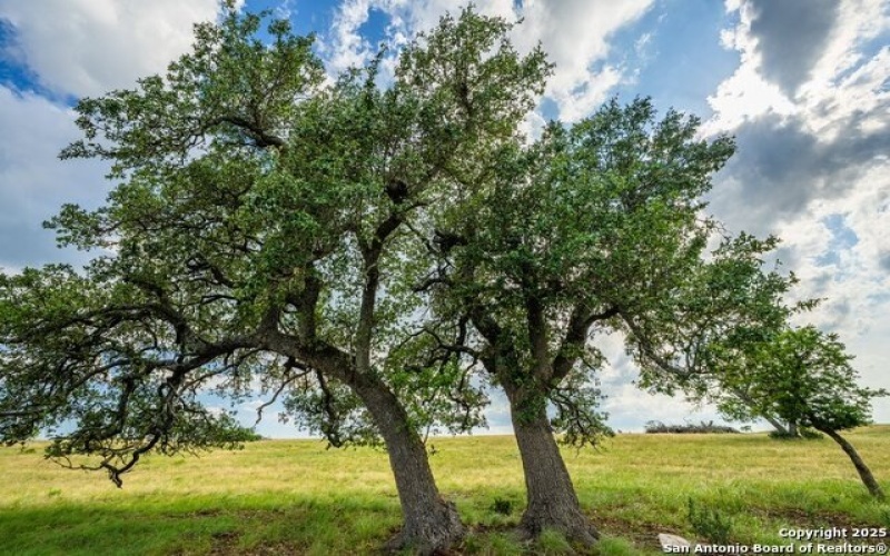 439 Junker Hill Dr, Fredericksburg, TX 78624, 4 Bedrooms Bedrooms, ,3 BathroomsBathrooms,Residential,For Sale,439 Junker Hill Dr,1875732