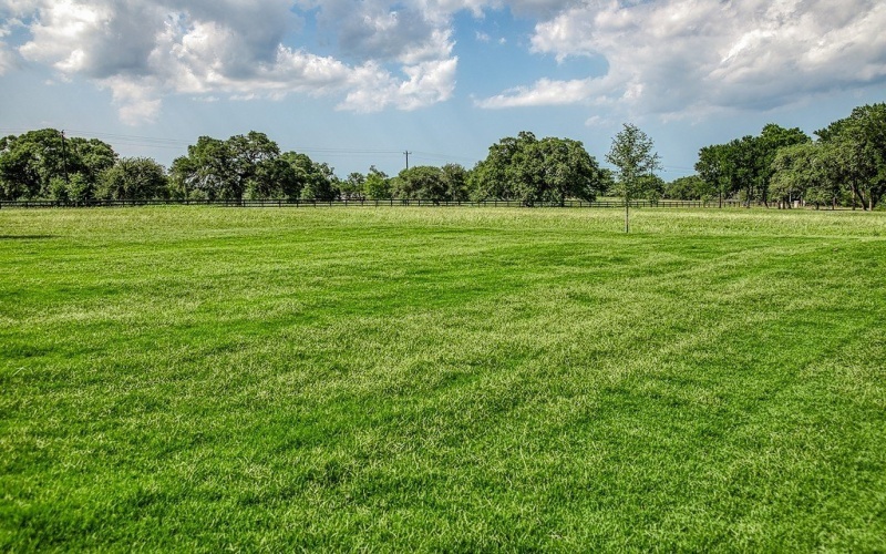4961 Hartfield Road, Round Top, TX 78954, 4 Bedrooms Bedrooms, ,5 BathroomsBathrooms,Farm,For Sale,4961 Hartfield Road,152196