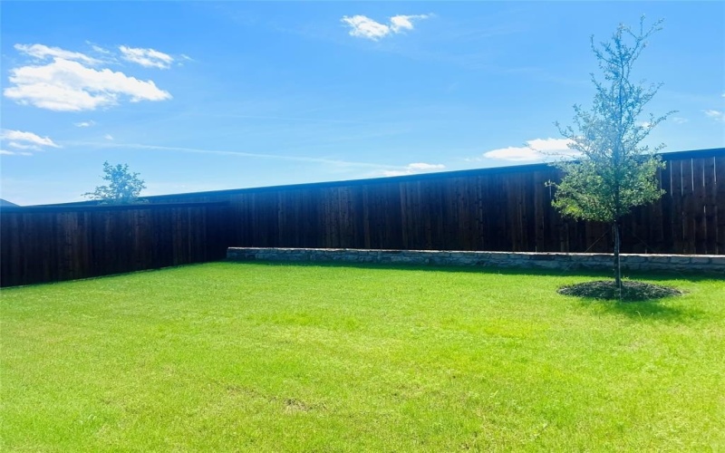4006 Marble Falls Drive, Farmersville, TX 75442, 3 Bedrooms Bedrooms, ,2 BathroomsBathrooms,Residential Lease,For Rent,4006 Marble Falls Drive,20968715