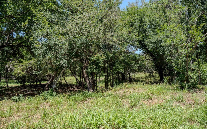 2230 McArthur Avenue, Kingsland, TX 78639, 3 Bedrooms Bedrooms, ,2 BathroomsBathrooms,Residential,For Sale,2230 McArthur Avenue,173867