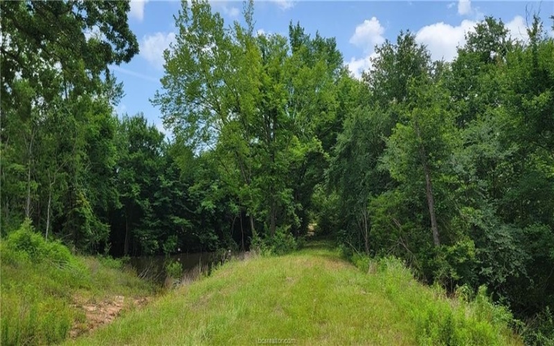 5135 Old Boone Prairie Road, Franklin, TX 77856, 3 Habitaciones Habitaciones , ,3 BañosBaños,Residential,En Venta,5135 Old Boone Prairie Road,25006997