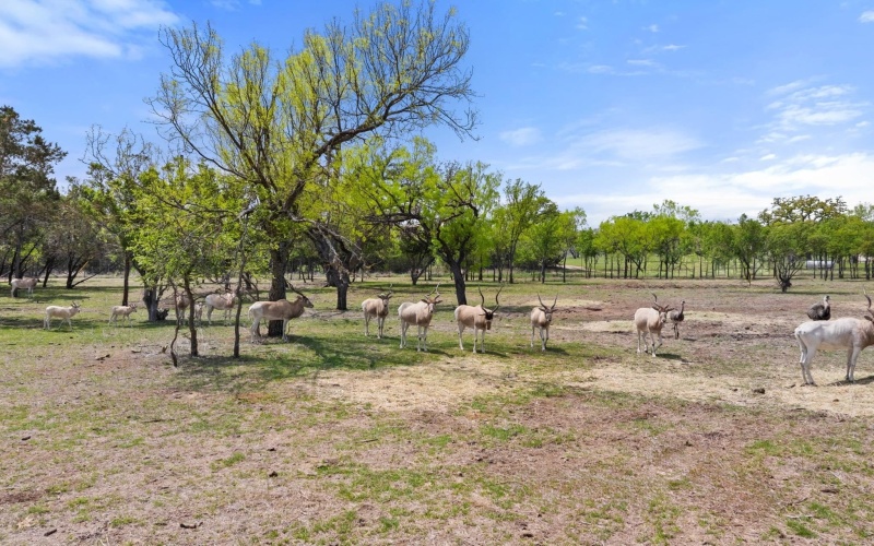 10090 Ranch Road 1323, Johnson City, TX 78636, 3 Bedrooms Bedrooms, ,2 BathroomsBathrooms,Residential,For Sale,10090 Ranch Road 1323,173927