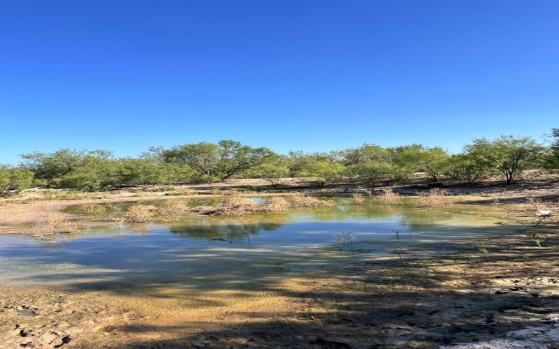 614 Sunset Road, Eagle Pass, TX 78852, 5 Habitaciones Habitaciones , ,2 BañosBaños,Granja,En Venta,614 Sunset Road,81366